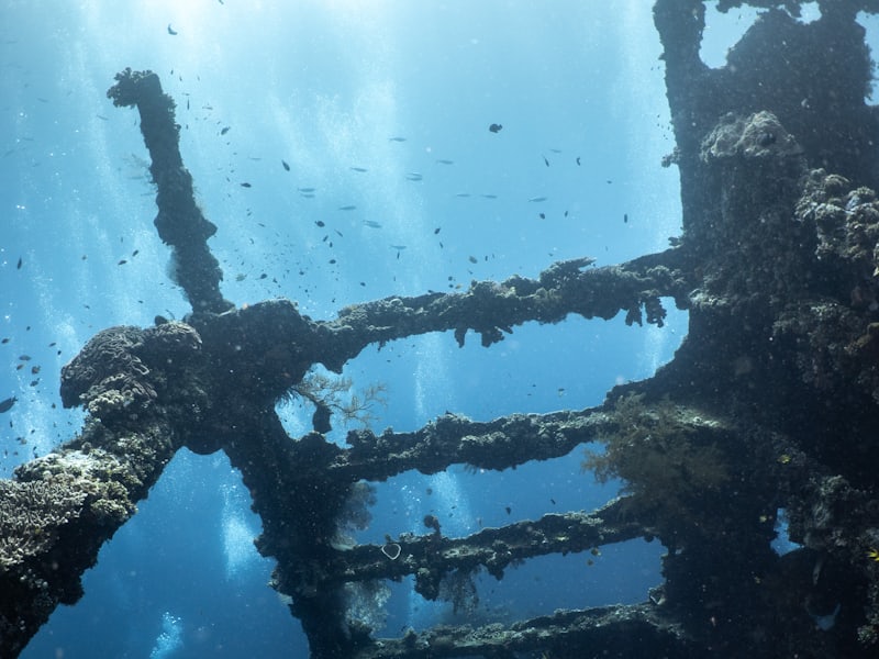 Submerged Pharos lighthouse limestone block on the seabed